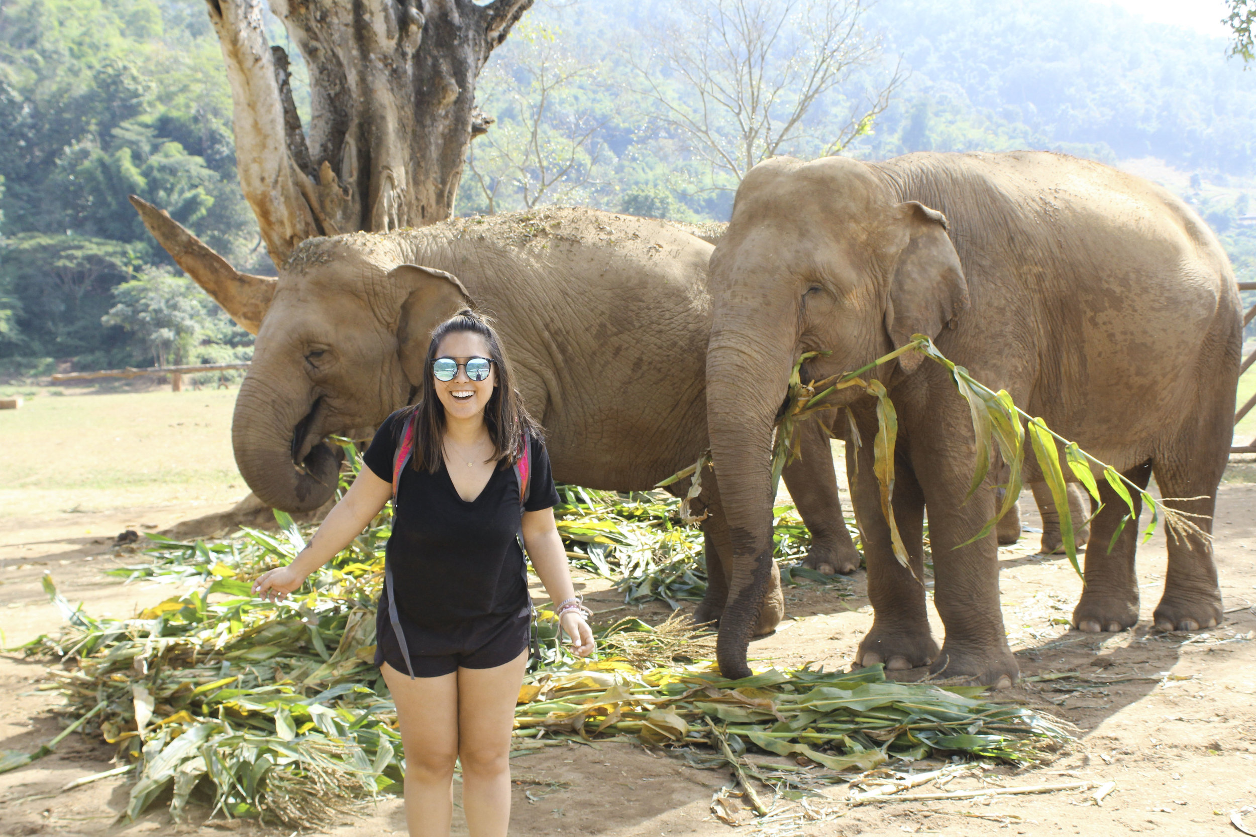 5 Day Trips from Chiang Mai, Thailand - Shannon Did What?Five Day Trips from Chiang Mai, Thailand | Shannon Did What?
