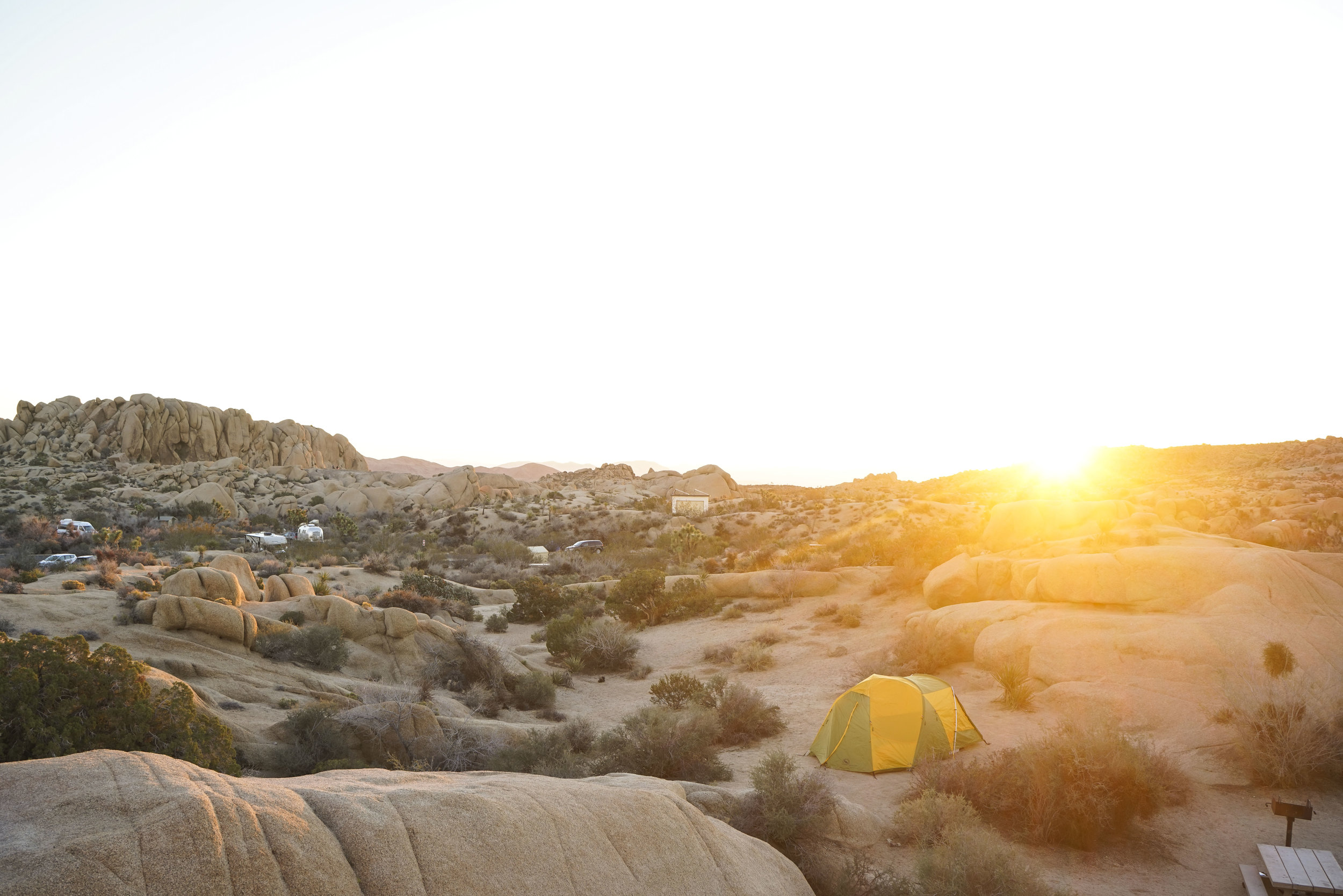 Camping vs Glamping in Joshua Tree | Shannon Did What?