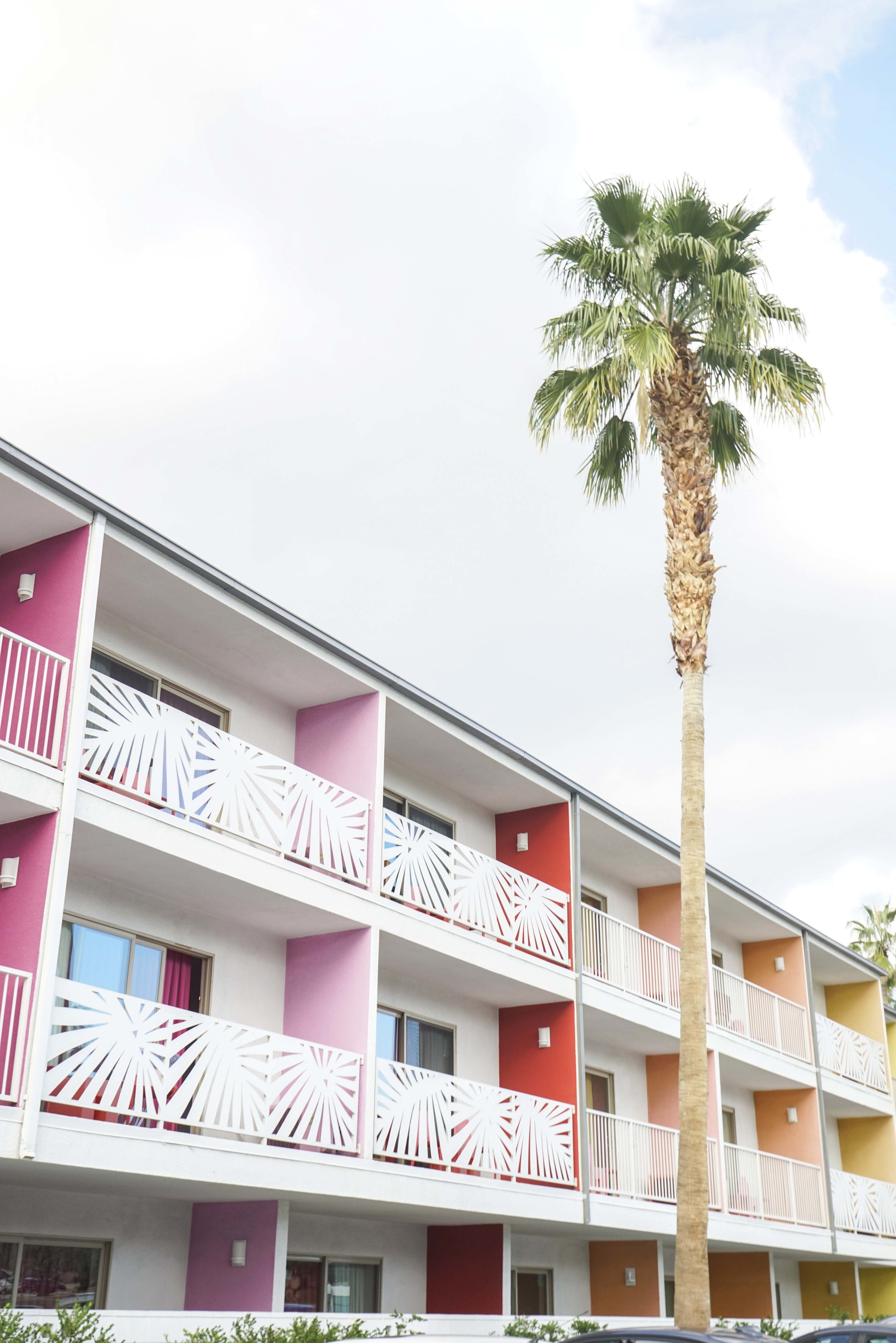 5 Most Instagrammable spots in Palm Springs | Shannon Did What?