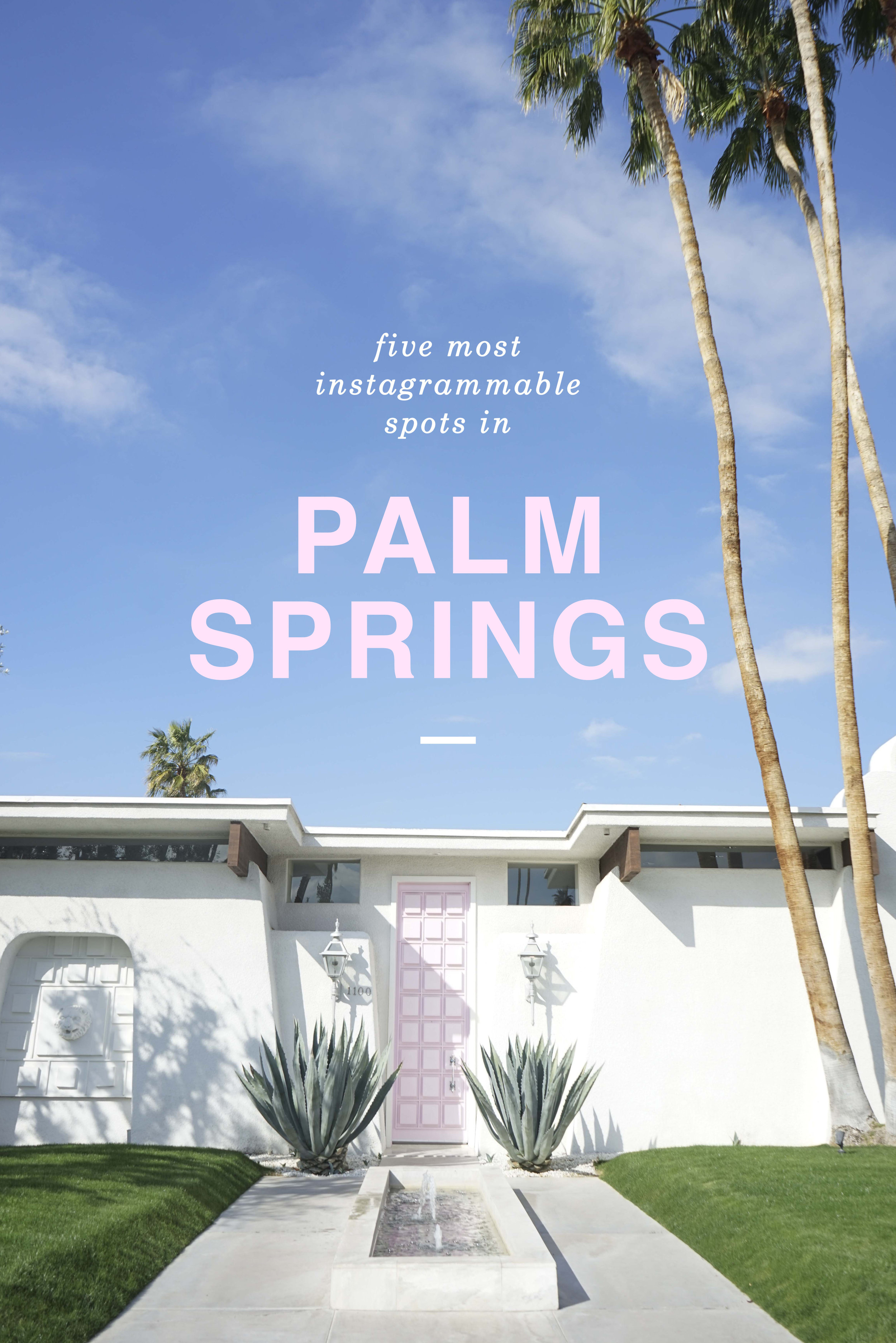 5 Most Instagrammable spots in Palm Springs | Shannon Did What?