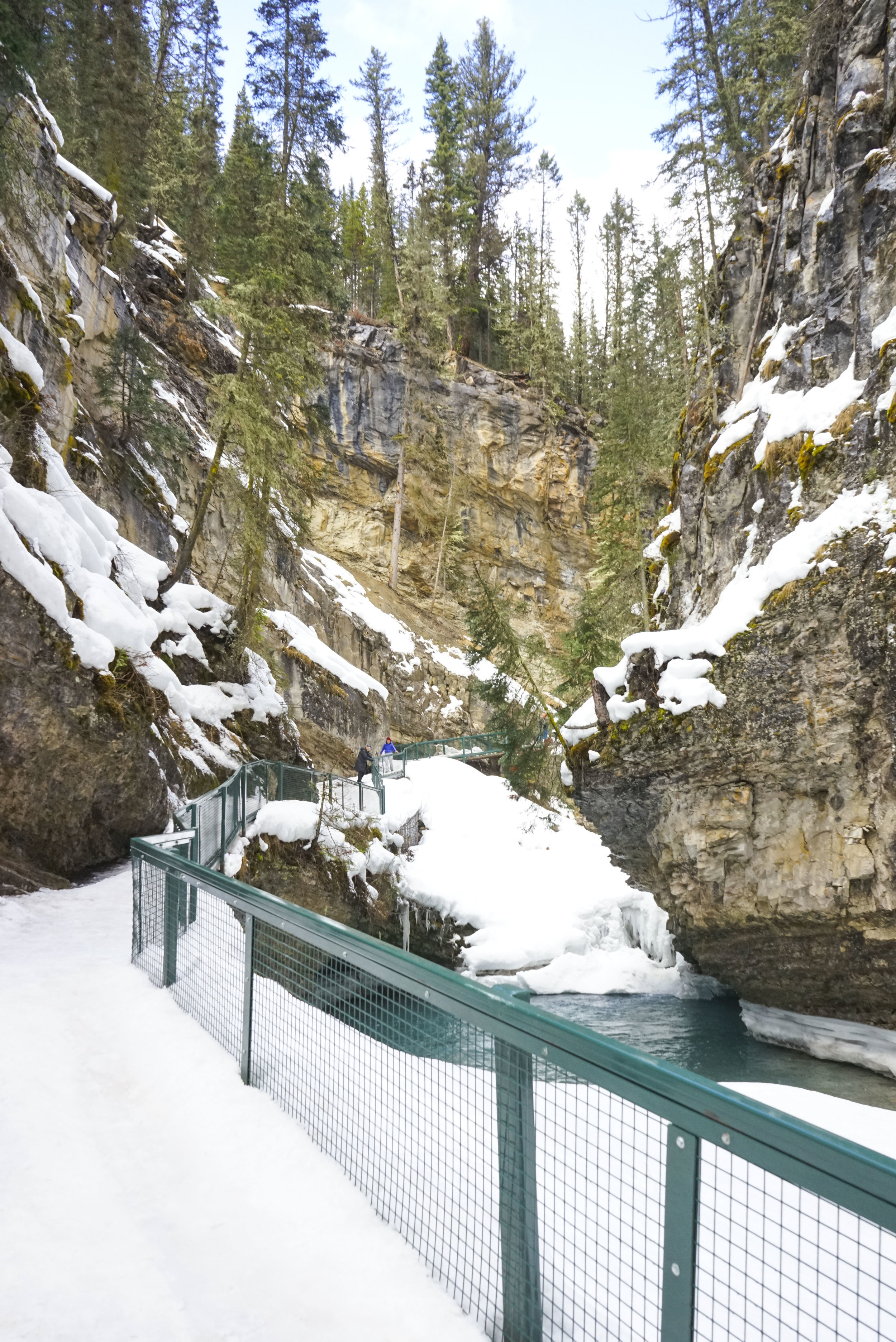 Johnston Canyon Icewalk with Discover Banff Tours