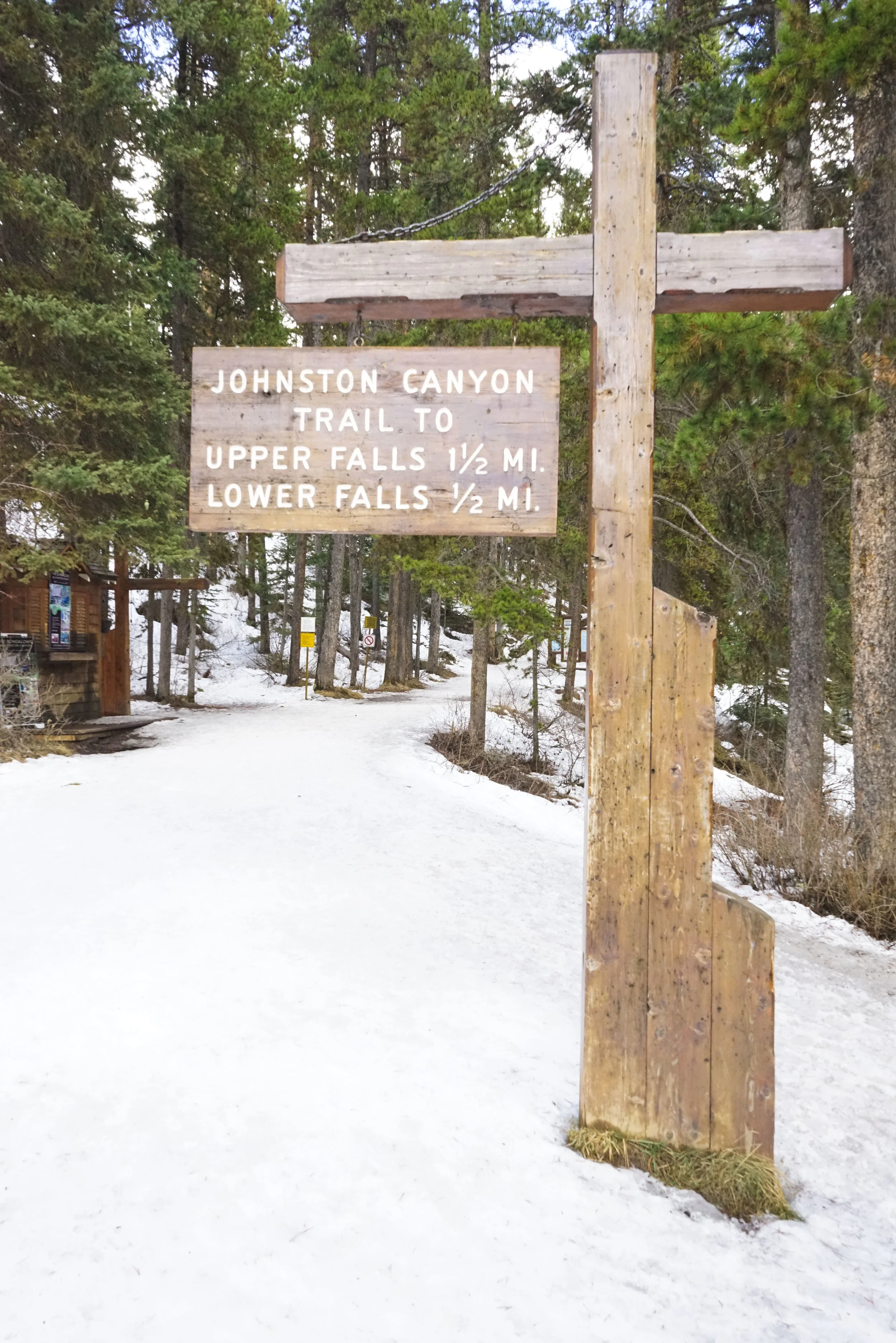 Johnston Canyon Icewalk with Discover Banff Tours