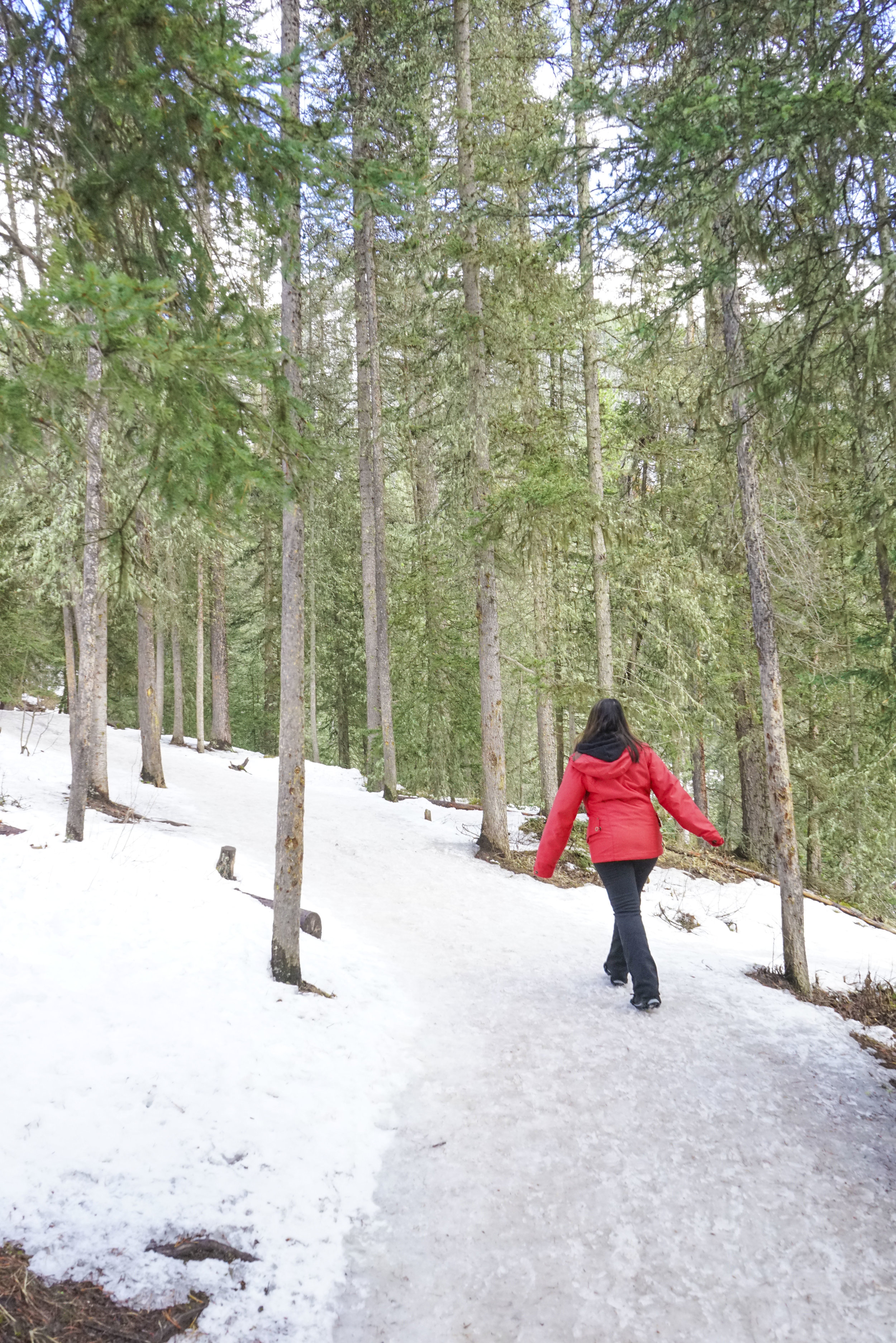 Johnston Canyon Icewalk with Discover Banff Tours
