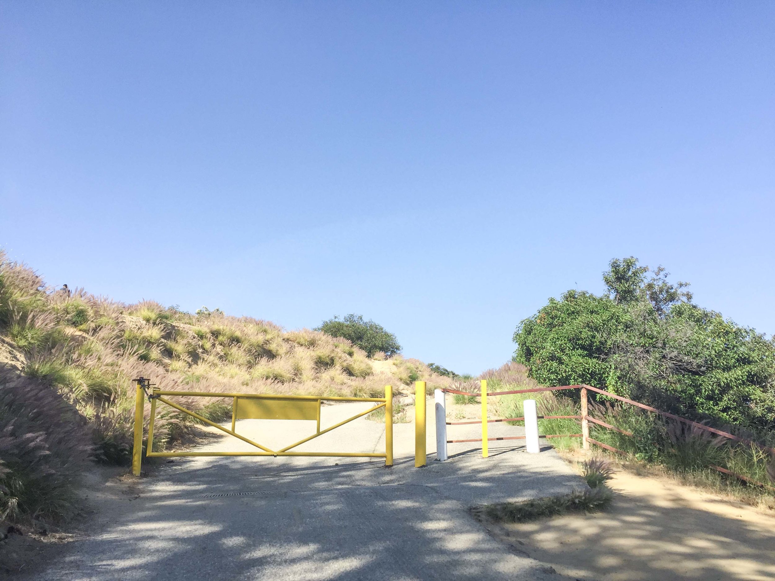 The Best View of the Hollywood Sign | Los Angeles, California, USA | Hollywood | Hike to the Hollywood Sign