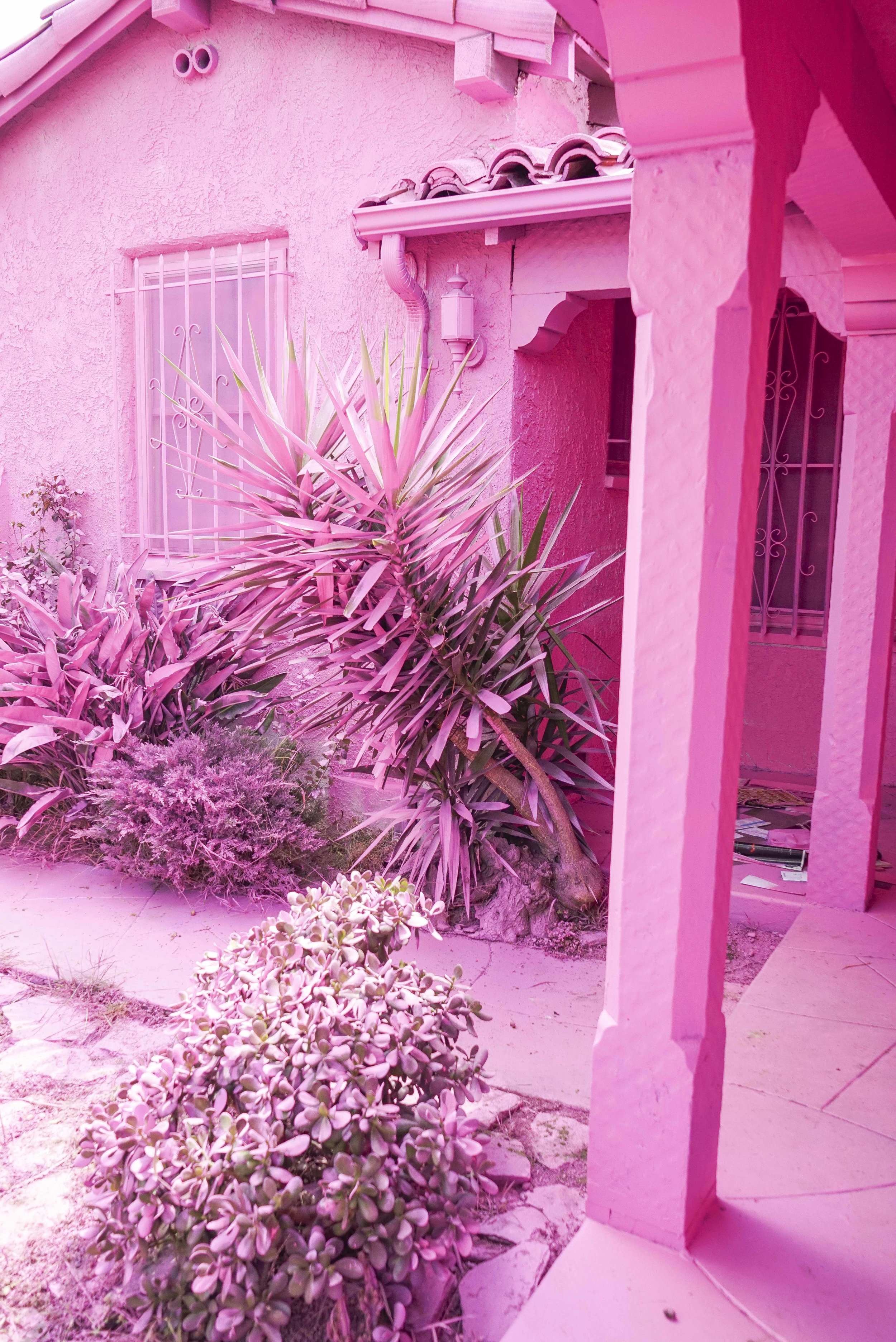 That Pink House | Los Angeles | Southern California | USA