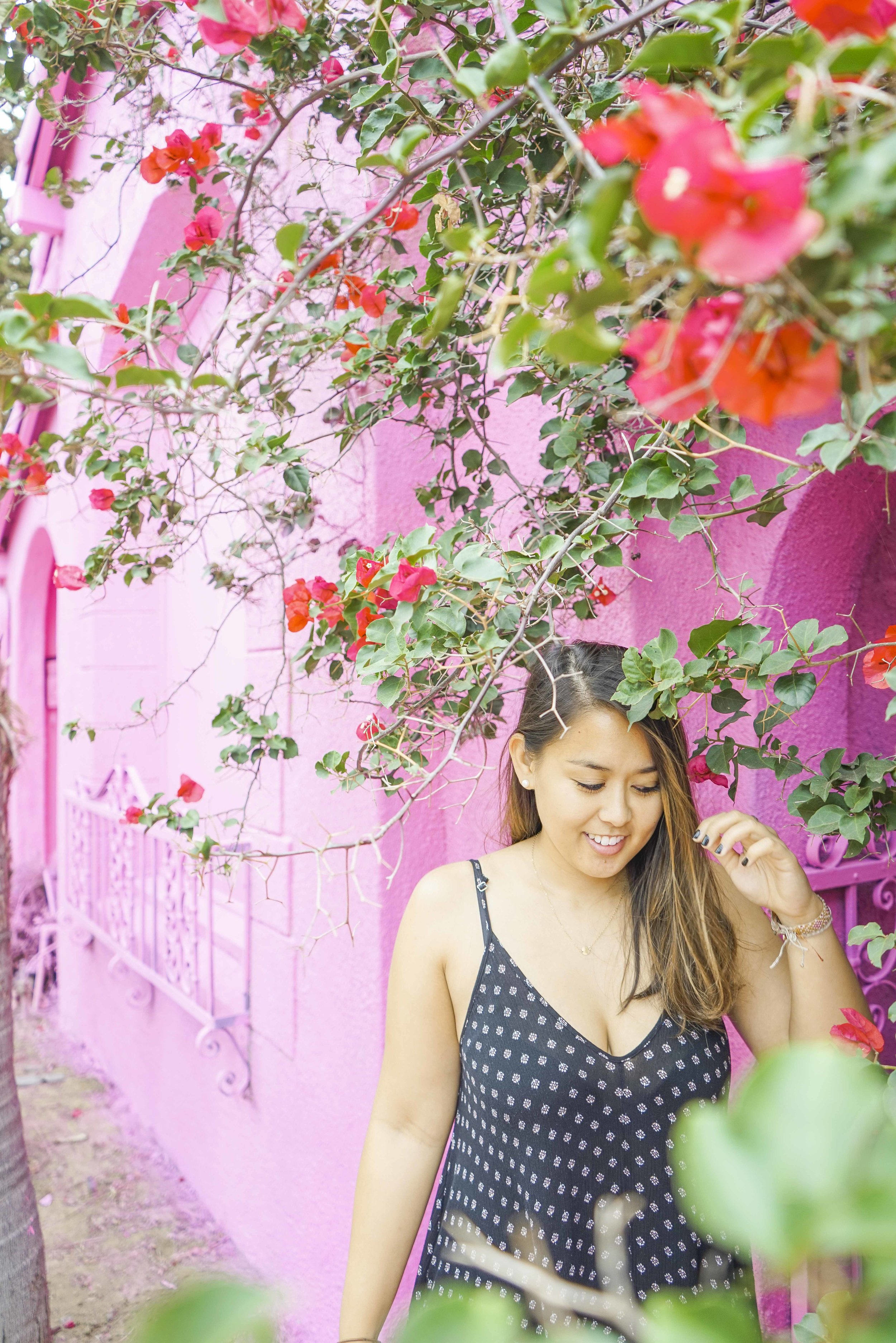 That Pink House | Los Angeles | Southern California | USA