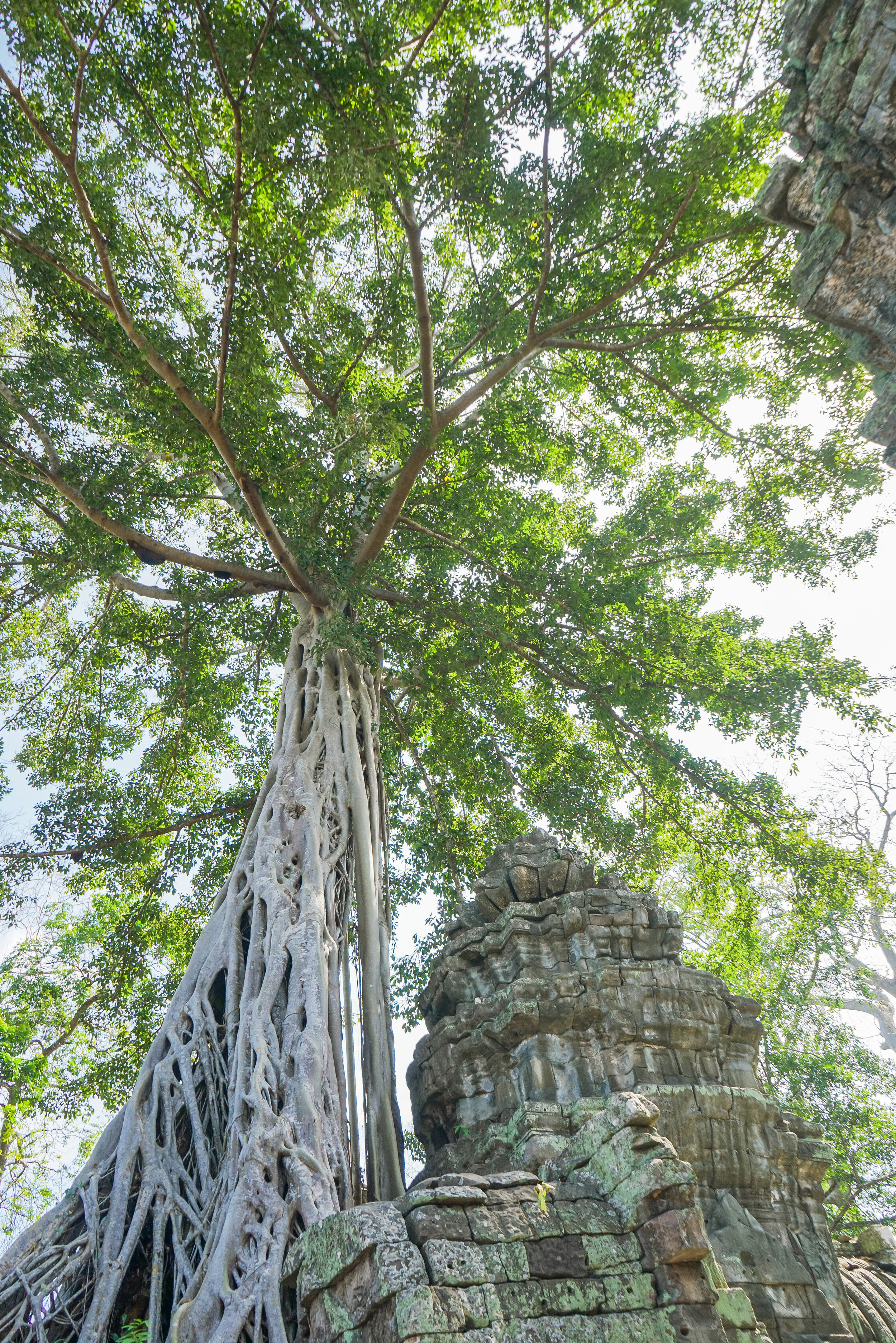 Guide to the Temples of Angkor Wat | Siem Reap | Cambodia