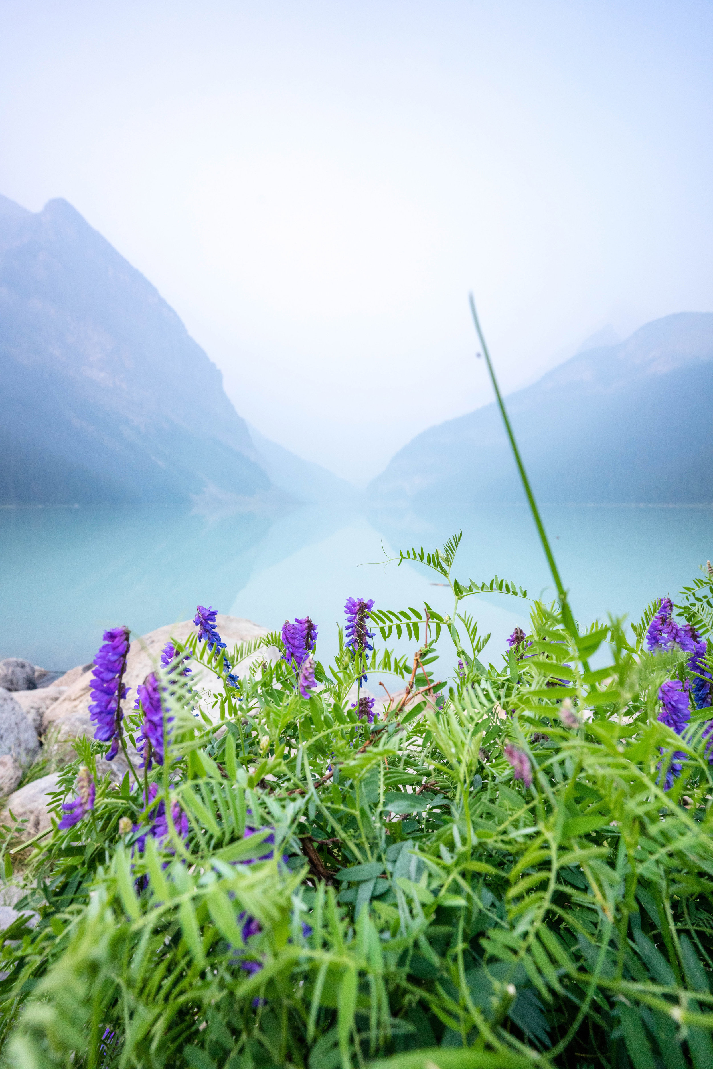 Visit Banff, Canada in the Summer | Alberta, Canada