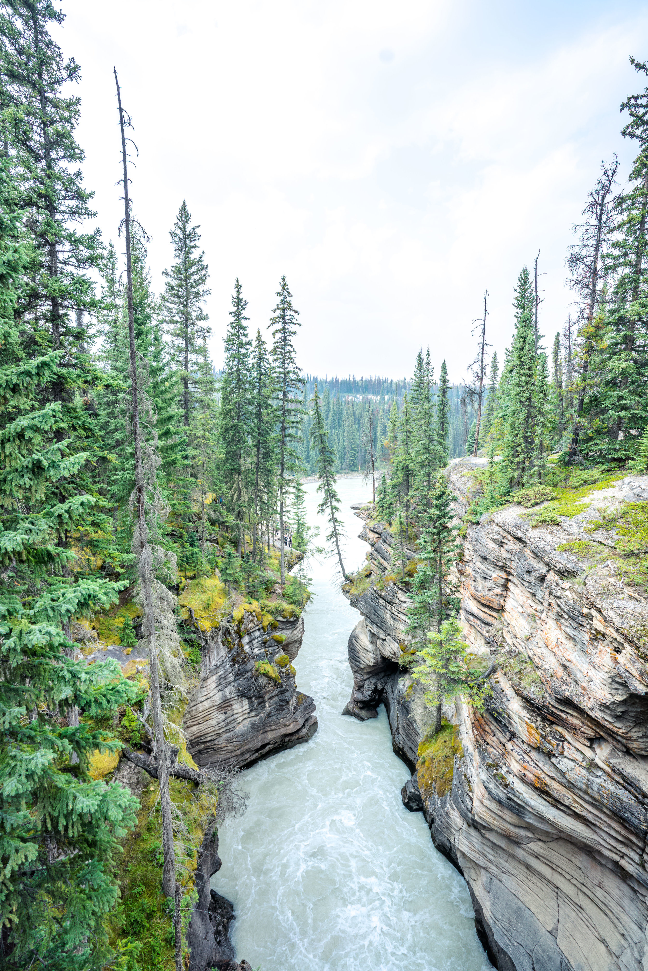 The Best 4-Day Canadian Rockies Itinerary, Banff National Park, Jasper National Park, Yoho National Park, Alberta, British Columbia, Canadian Rockies, Banff Itinerary, Jasper Itinerary