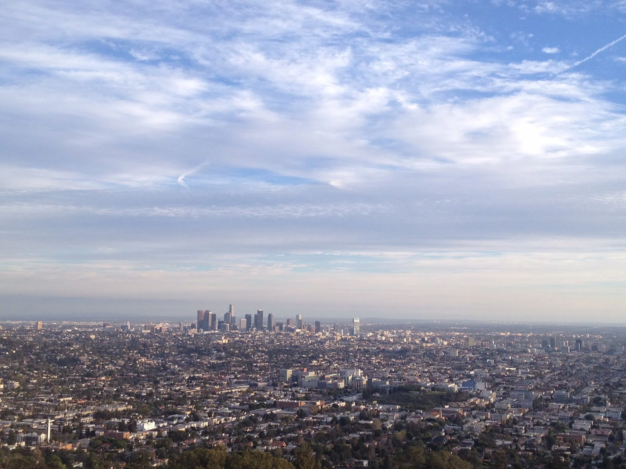 Downtown LA : Los Angeles Flower Market + Grand Central Market