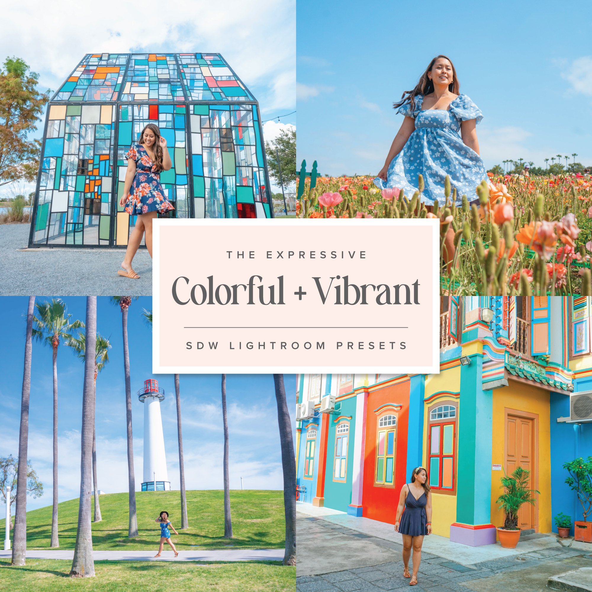 SDW_Presets_Expressive_ColorfulVibrant.jpg