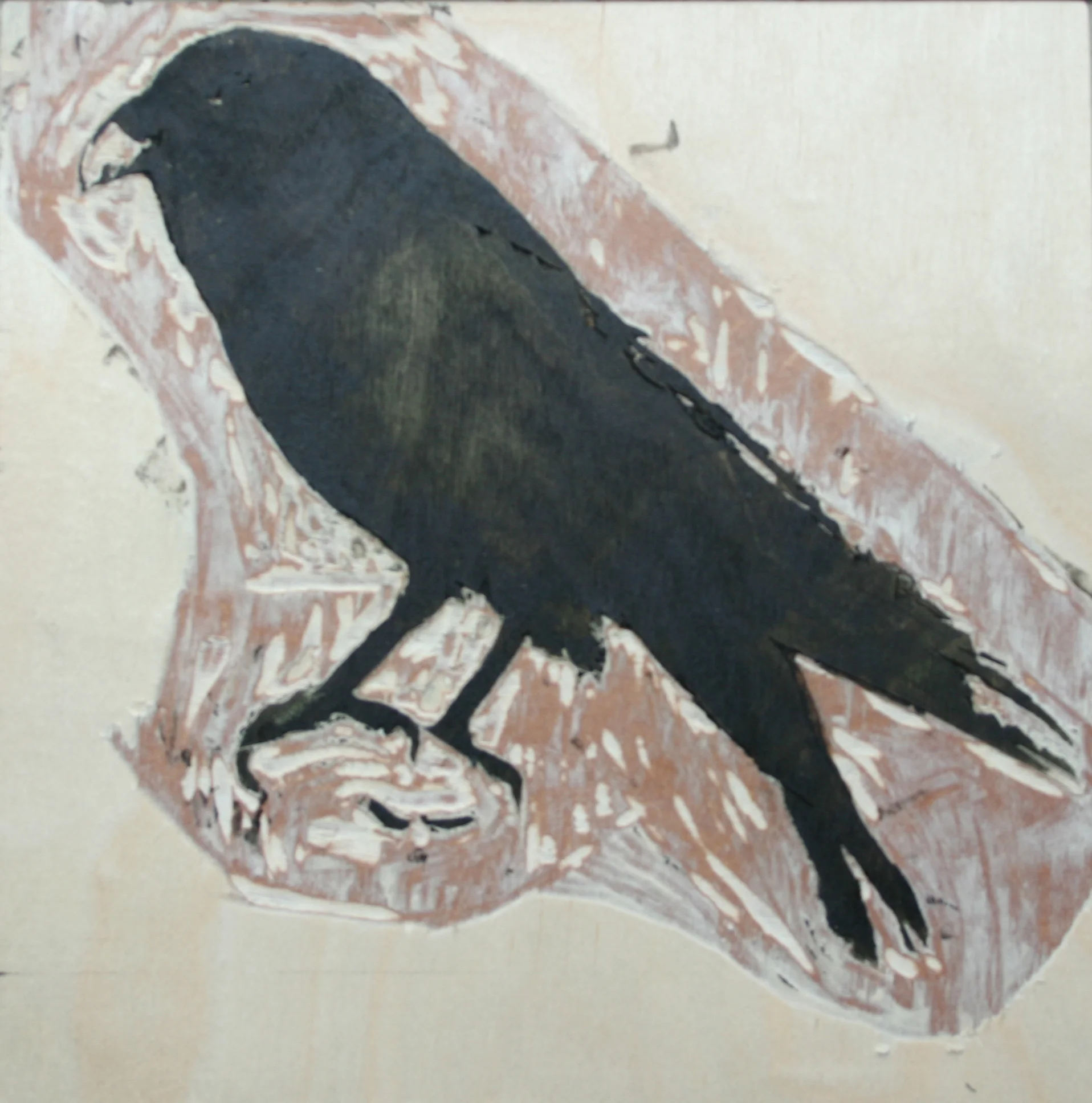 2009-08- 024 crow.jpg