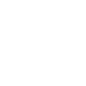 TRUJITSU 