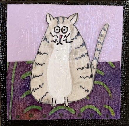 Grey Tabby Cat