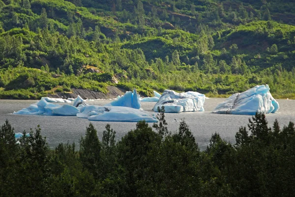 Anchorage to Seward Train Icefloats Glacier Alaska.jpg