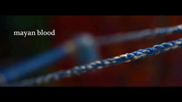 Mayan Blood: The Fight for Indigenous Rights