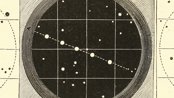 ezgif.com-optimize (82).gif