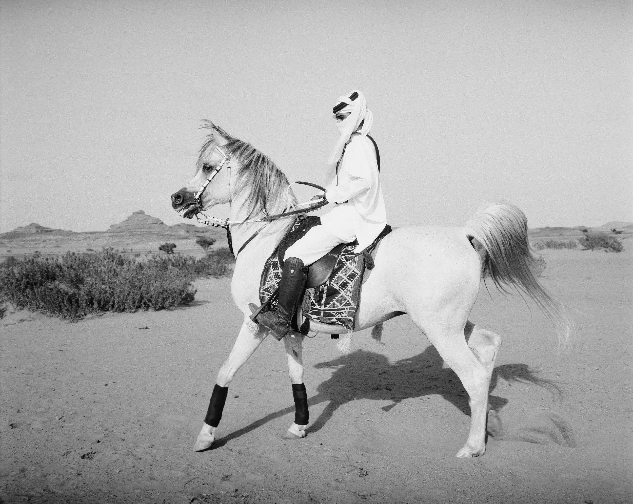 Saudi-Horseman-1.jpg
