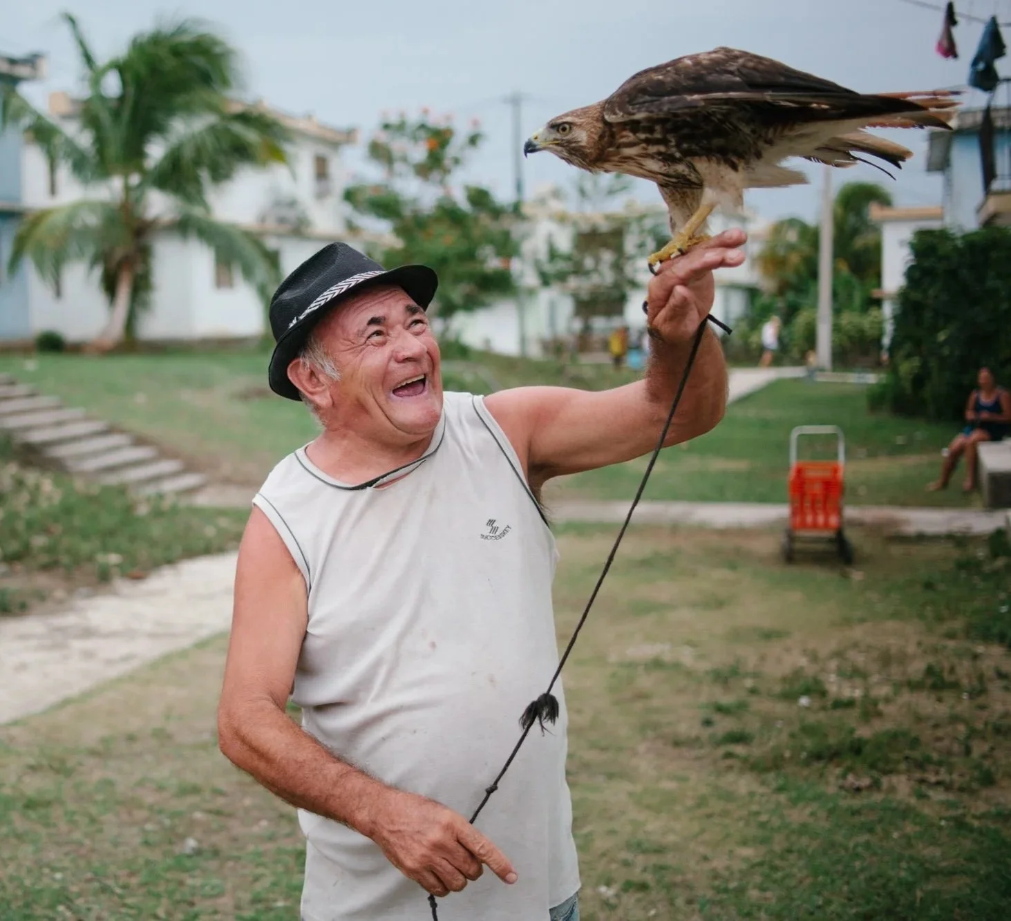 Cuba: The Havana Effect