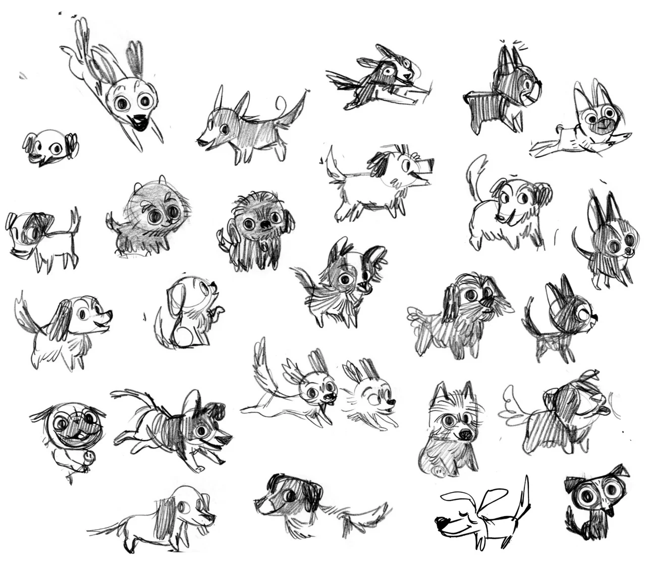 Puppy Sketches 2.jpg