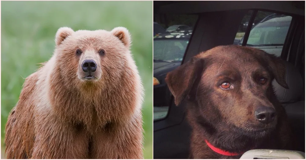 Pictured right: Eleanor Rigby Fitzgerald