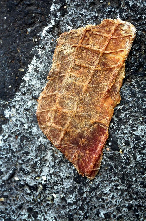 Tire on Steak (Col. Roma Norte, Mexico City), 2006. From the series "Found Objects".
