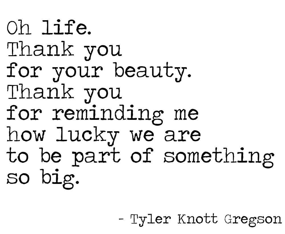 OhThankYouLife1.jpg