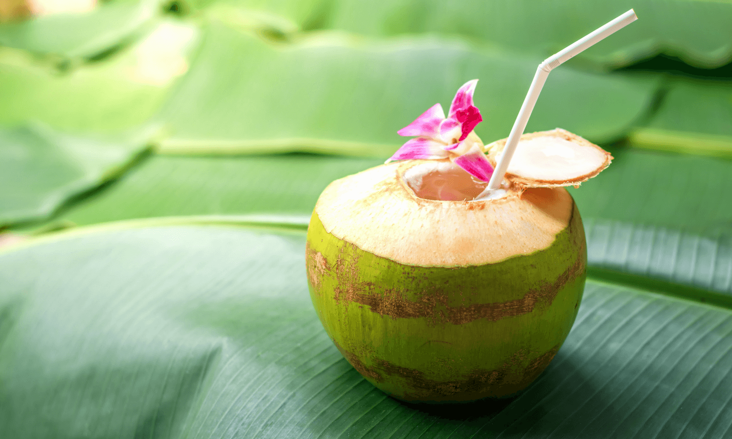 The Mocktail - banner 2 (1).png