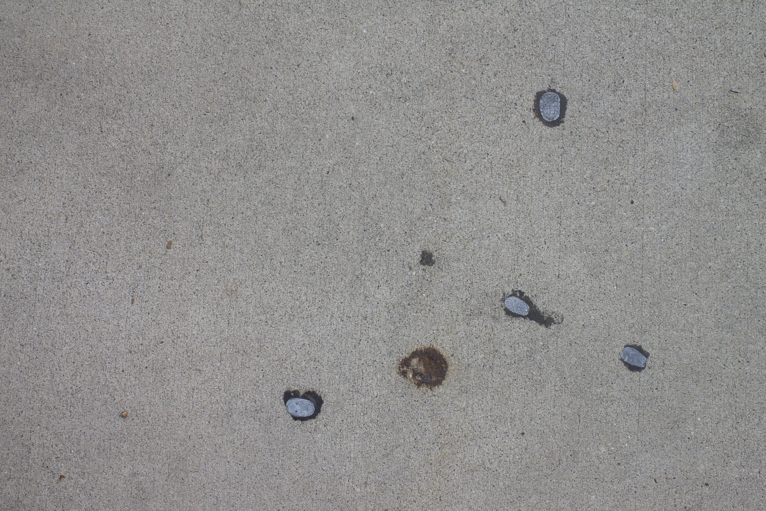 DNA- Installation view