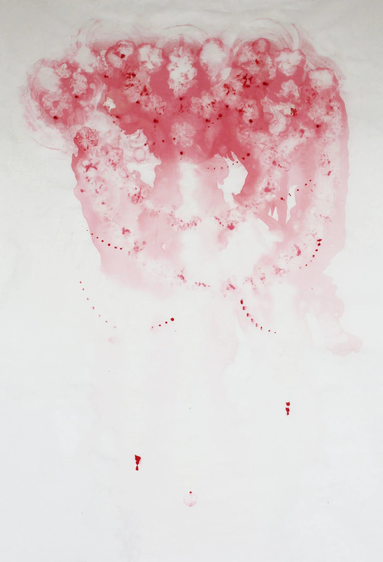   The Practice of Perfecting Pollen No.2   Monotype  Stock flower resist  30" x 22"  2014 