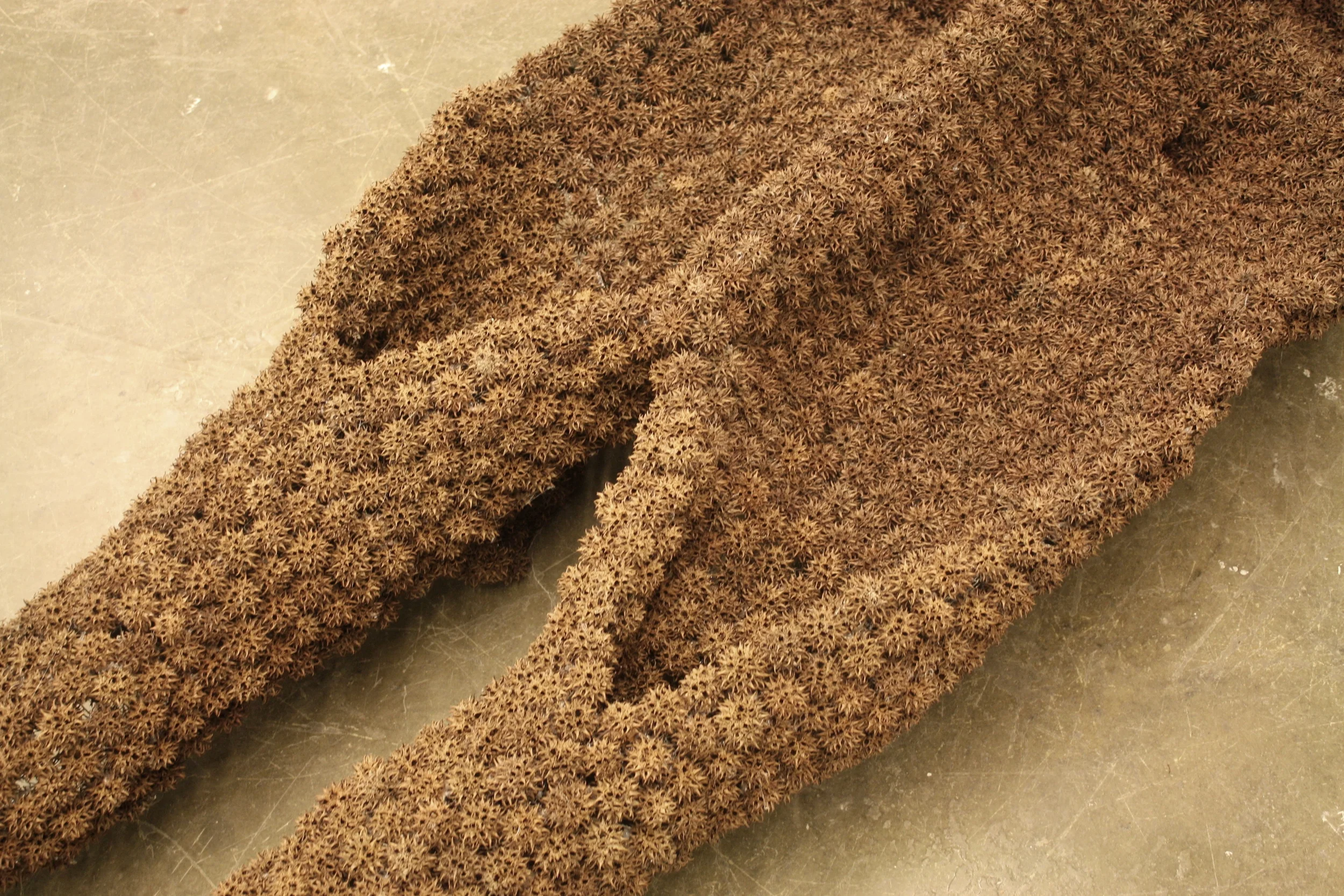 Ecoskeleton- detail image