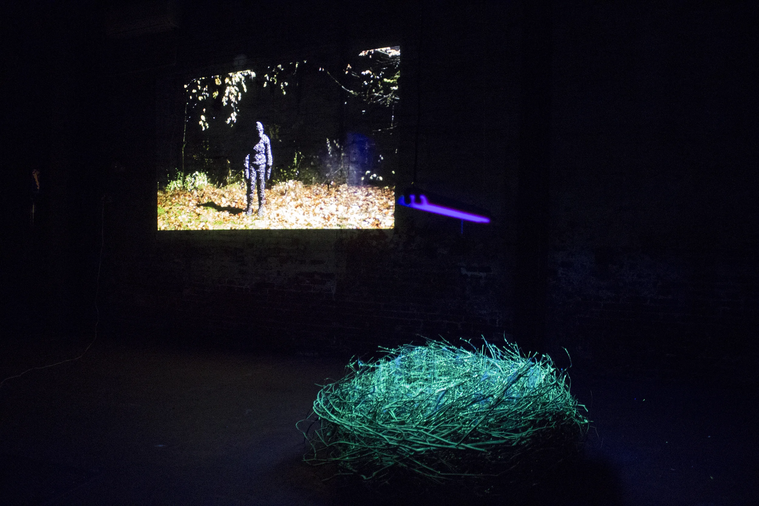 Inhabitant- Installation view with Unnatural Compulsion