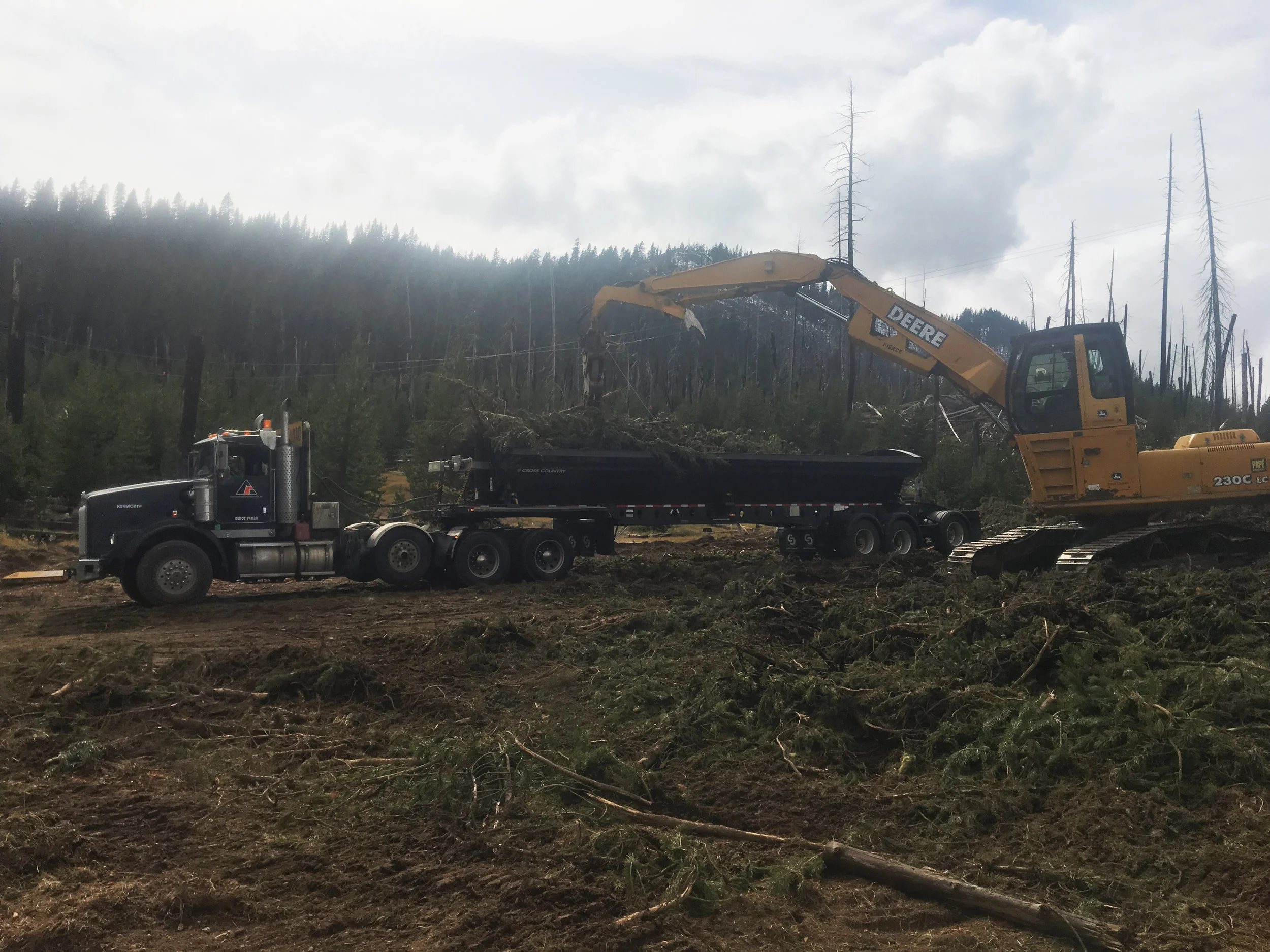 Forest Service Job edited.jpg