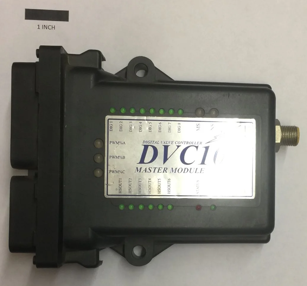 DVC 10.JPG