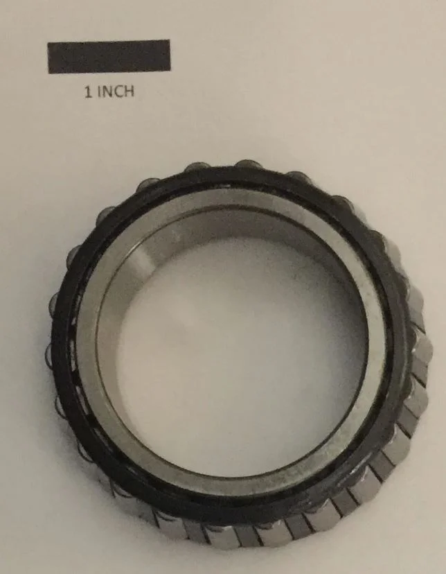 LM104949.JPG
