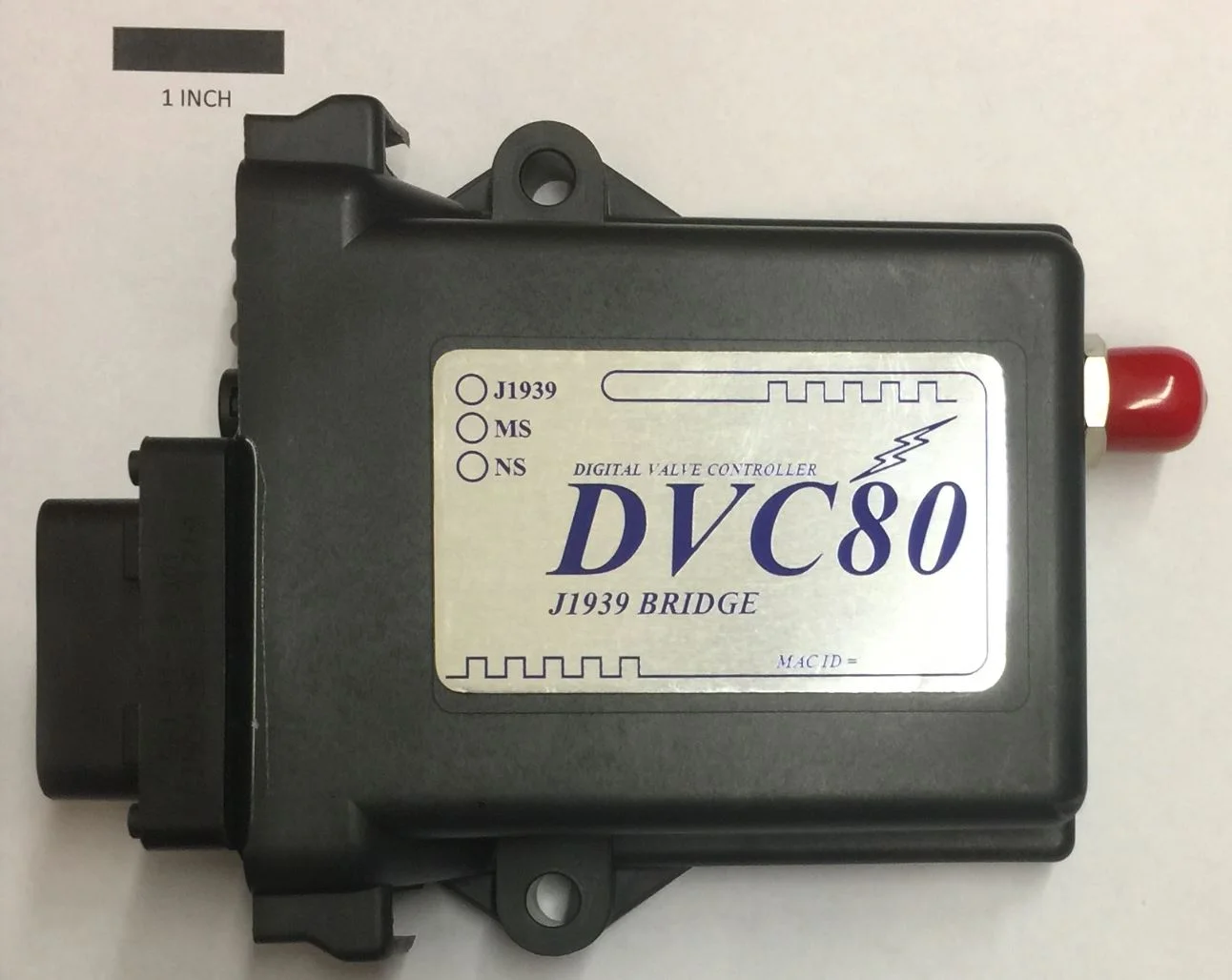 DVC 80.JPG