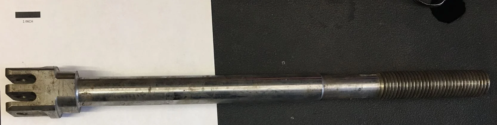 CQ66405.JPG