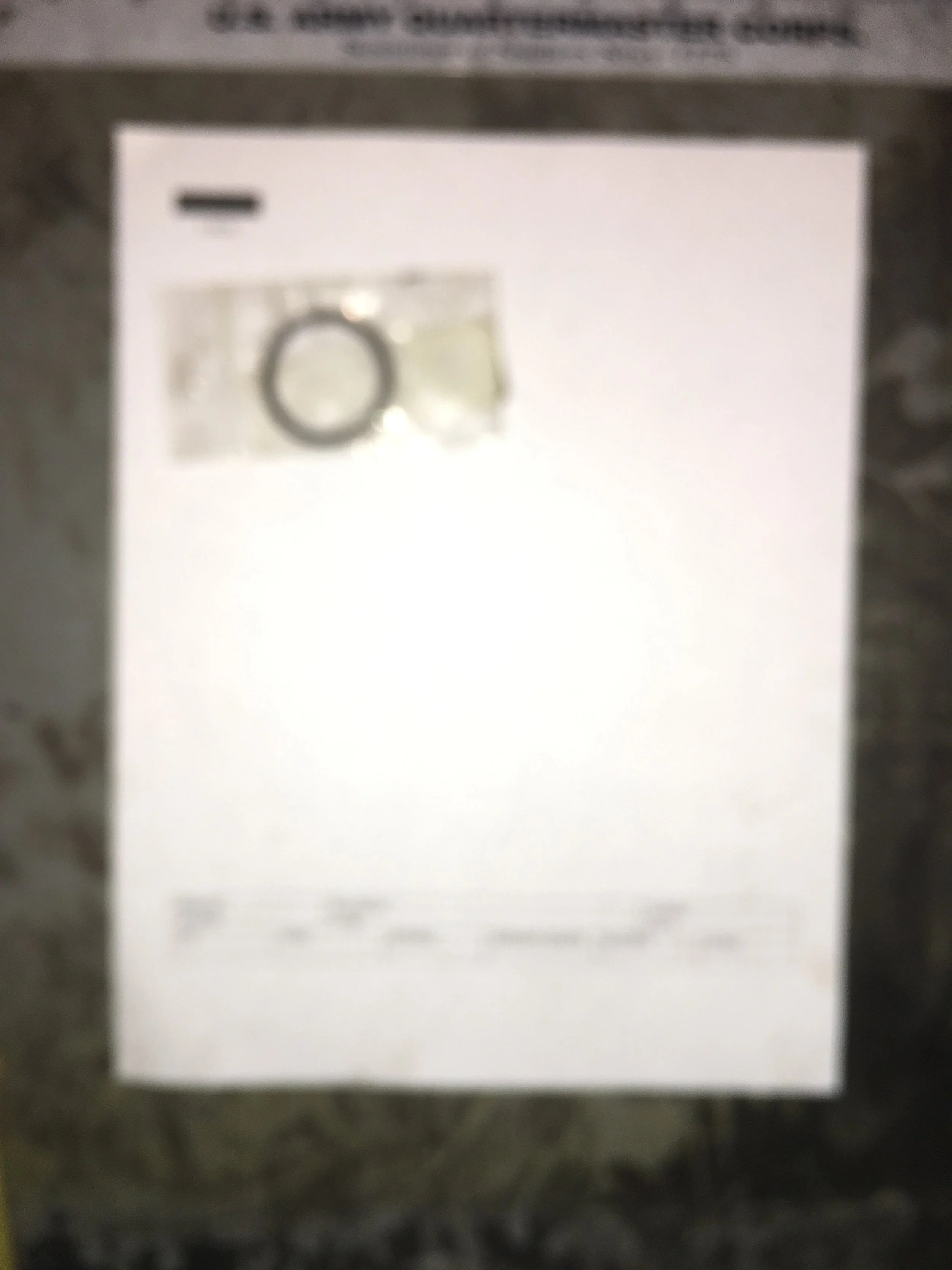 5P-8210.JPG