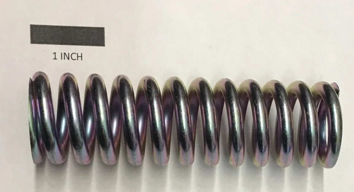 7000119.JPG