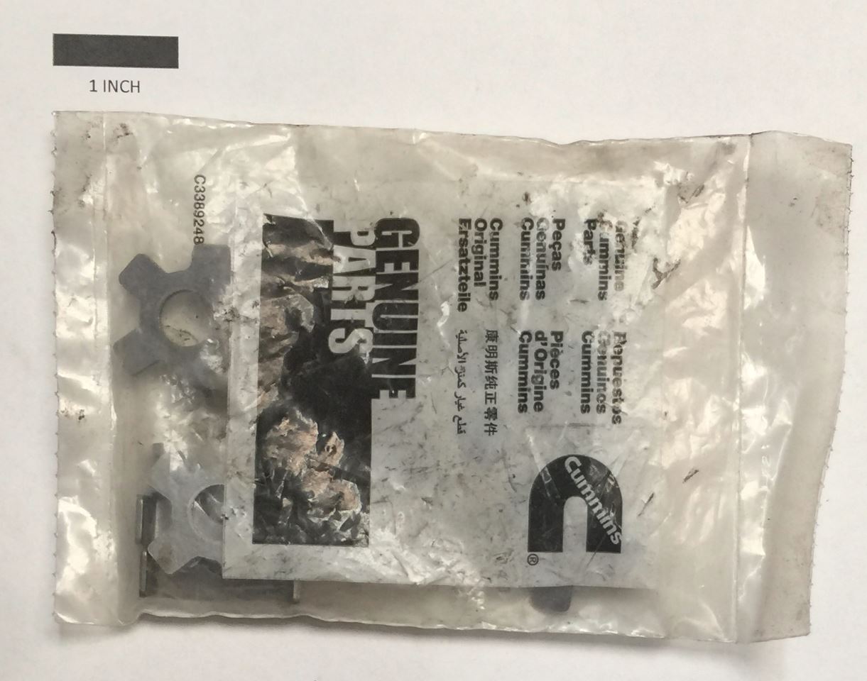 3914708.JPG