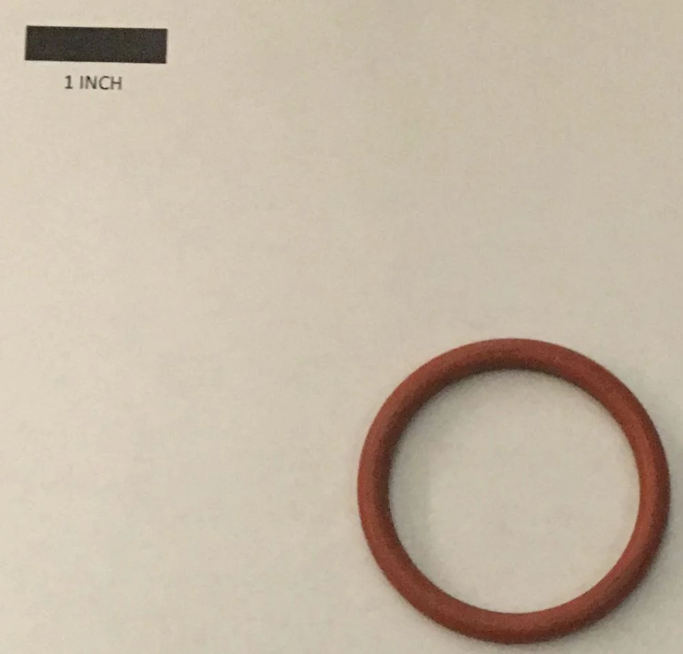 1090073.JPG