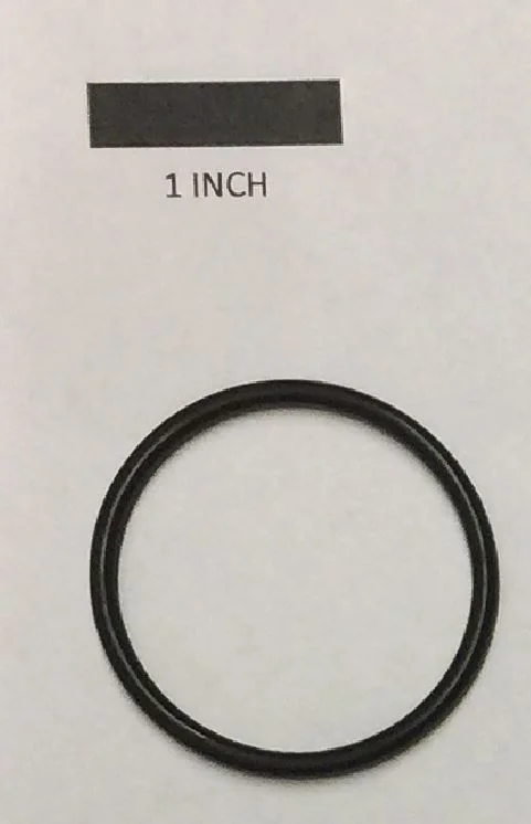 1035839.JPG