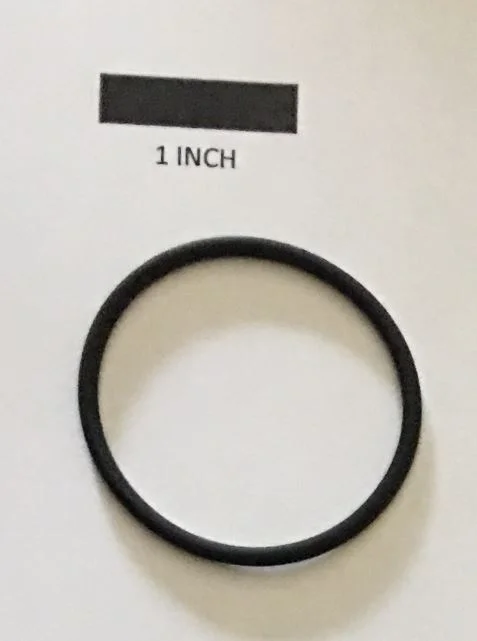 768112.JPG