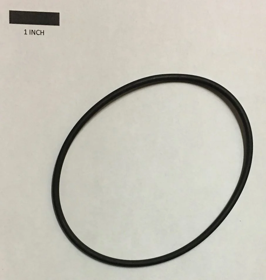 747105.JPG