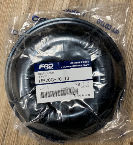 HB20G-70113.JPG