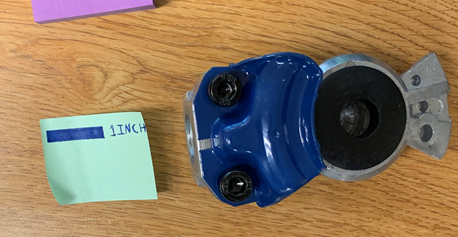 Gland Hands Blue.PNG