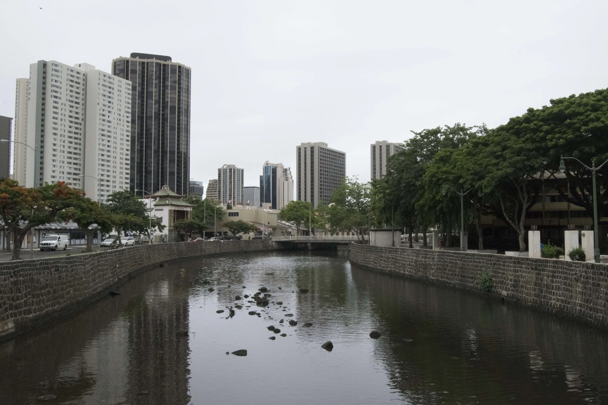 DSC_0051.jpg