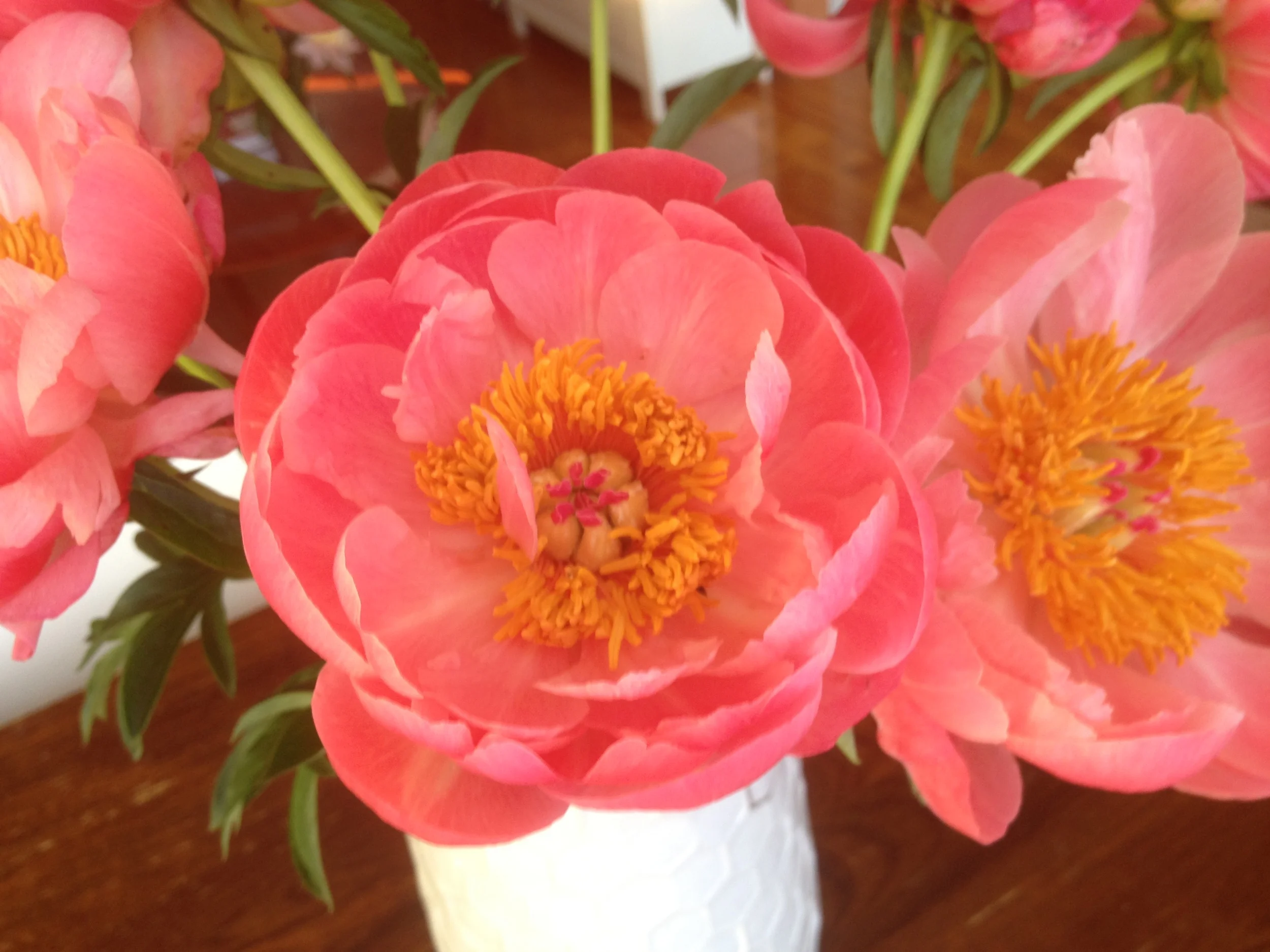 This is Blog Post Number One