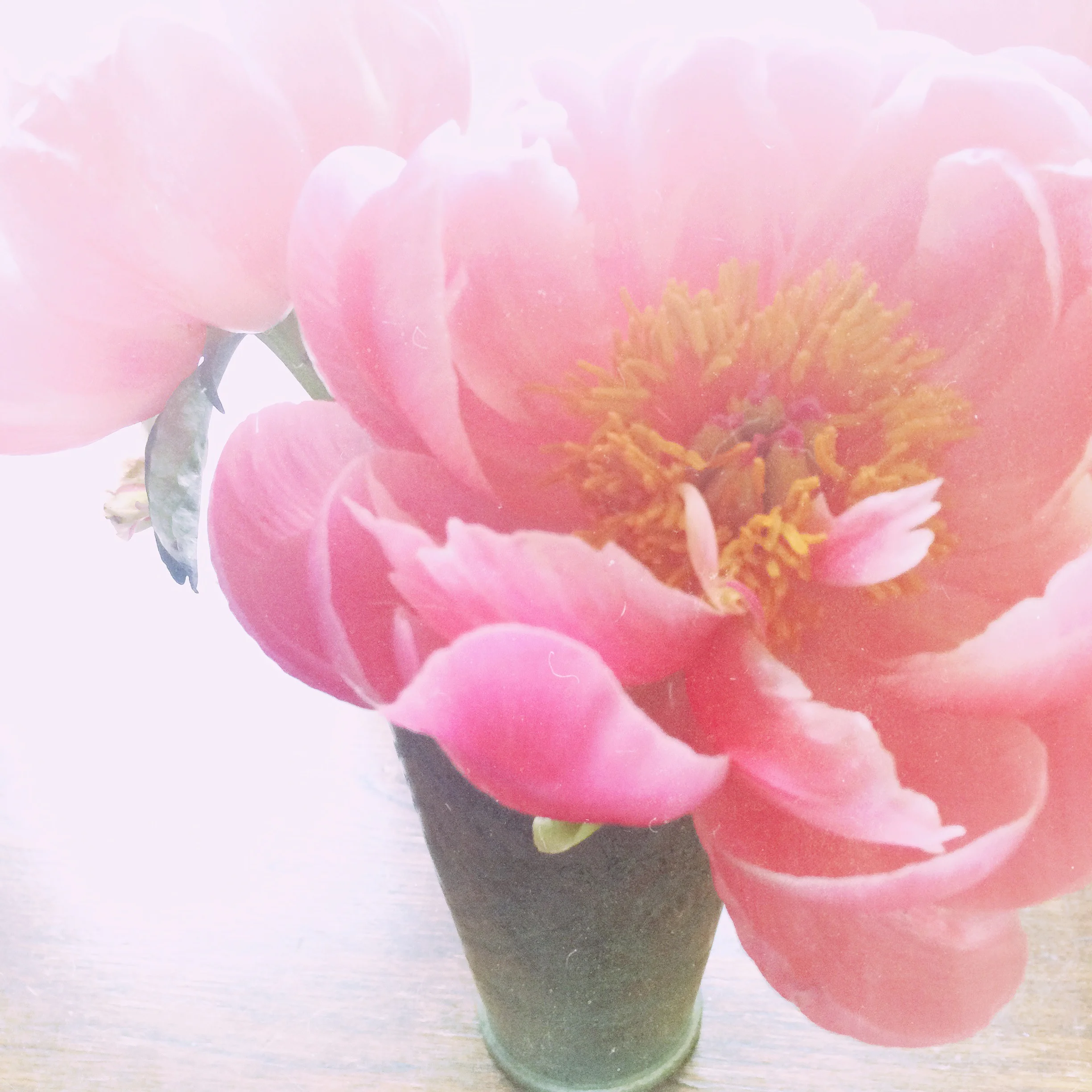  Intuitive Counseling 