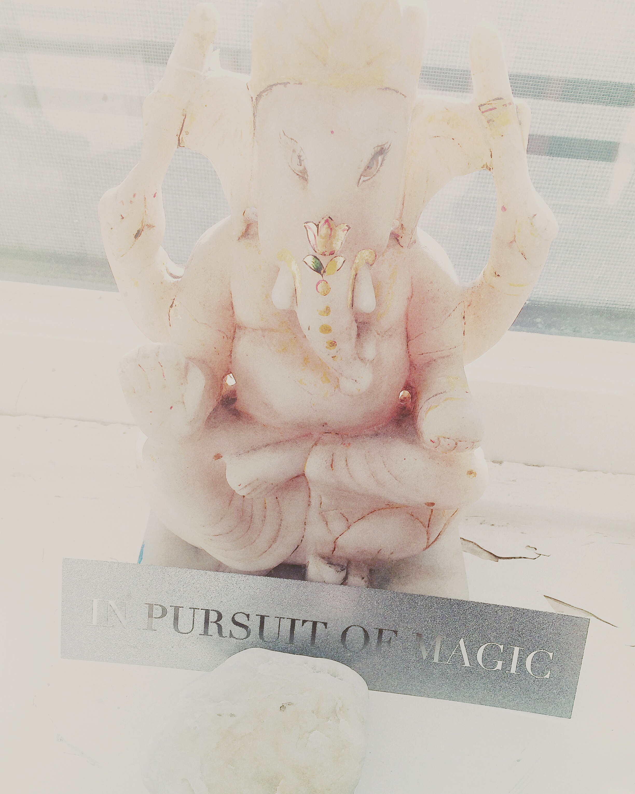 Inpursuitganesh.jpeg